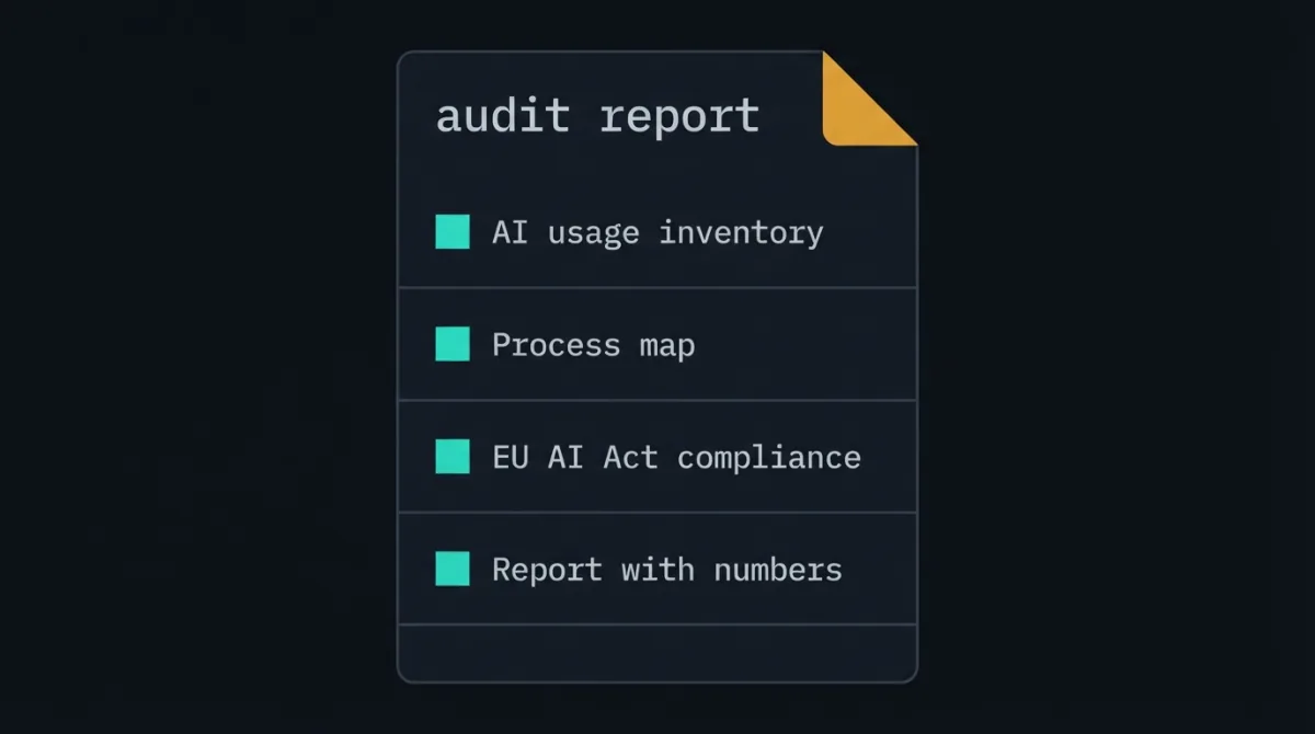 An “audit report” document listing four items: AI usage inventory, process map, EU AI Act compliance and a report with numbers.